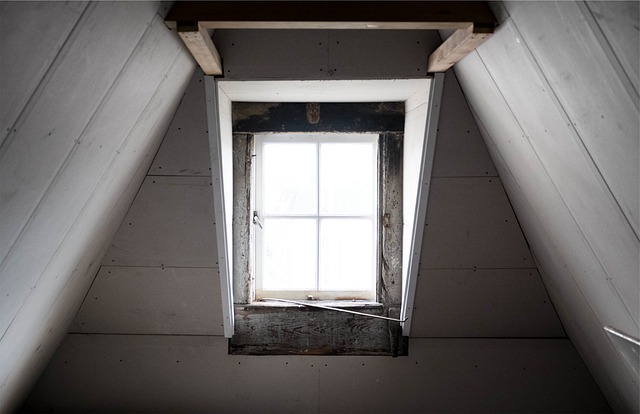 Noises In Greater Pittsburgh Attic